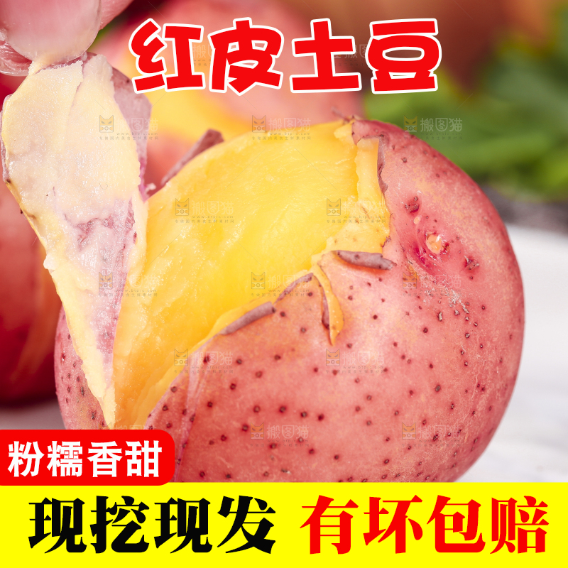 手里拿着红皮土豆