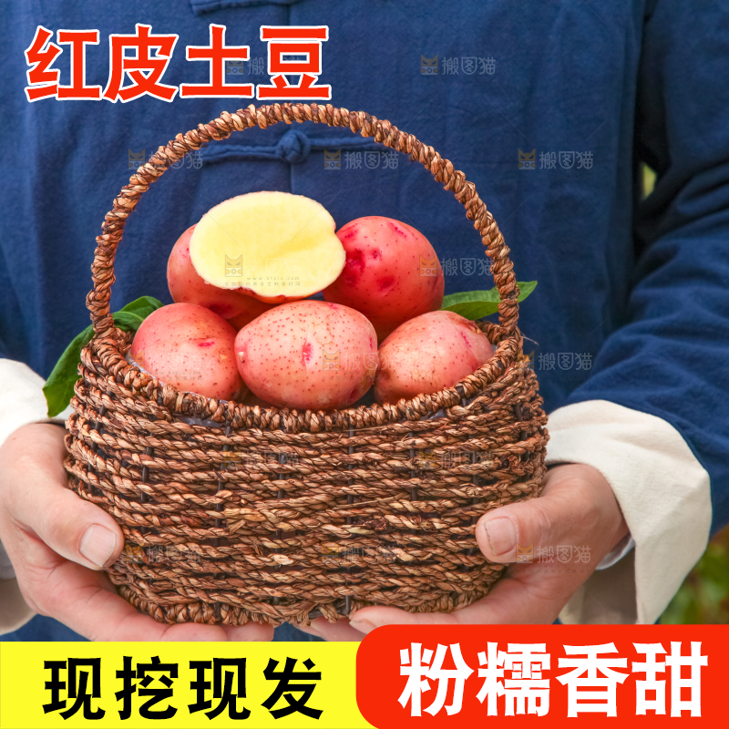 篮子里装着红皮黄心土豆