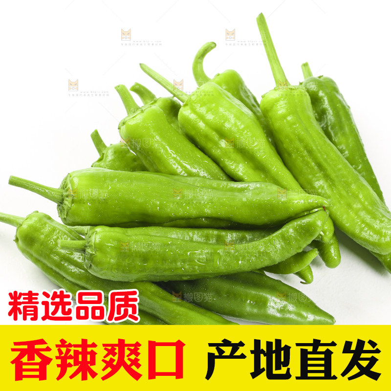 白底上摆放着青辣椒