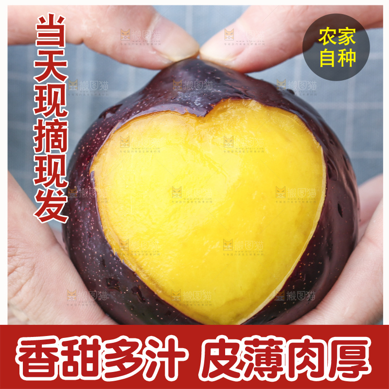 手里拿着进口黑布林