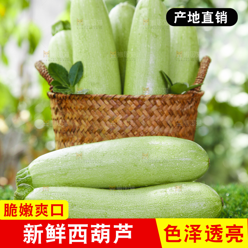 绿草地上摆放着西葫芦
