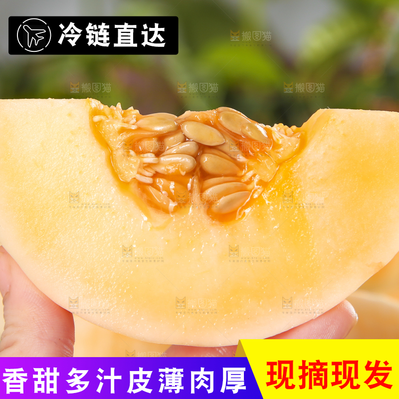 手里拿着蜜甜瓜