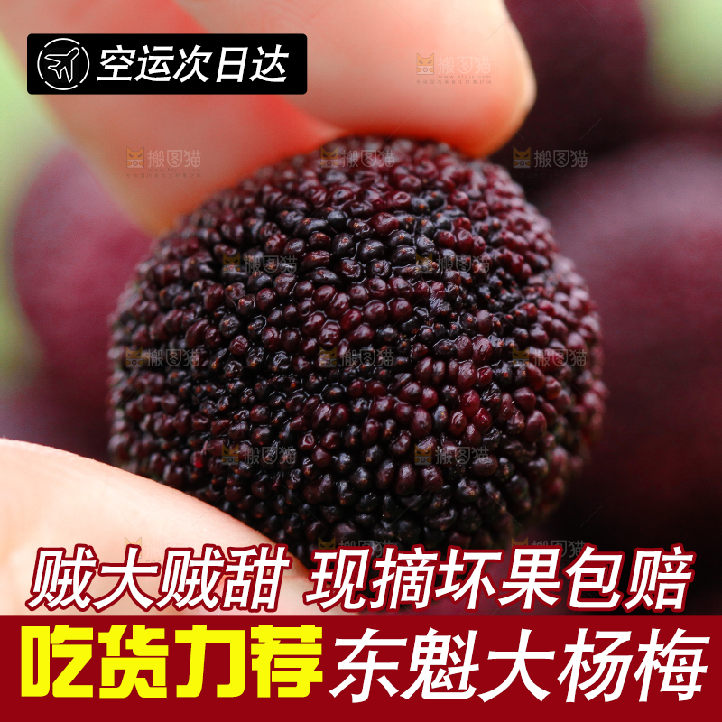 手里拿着杨梅