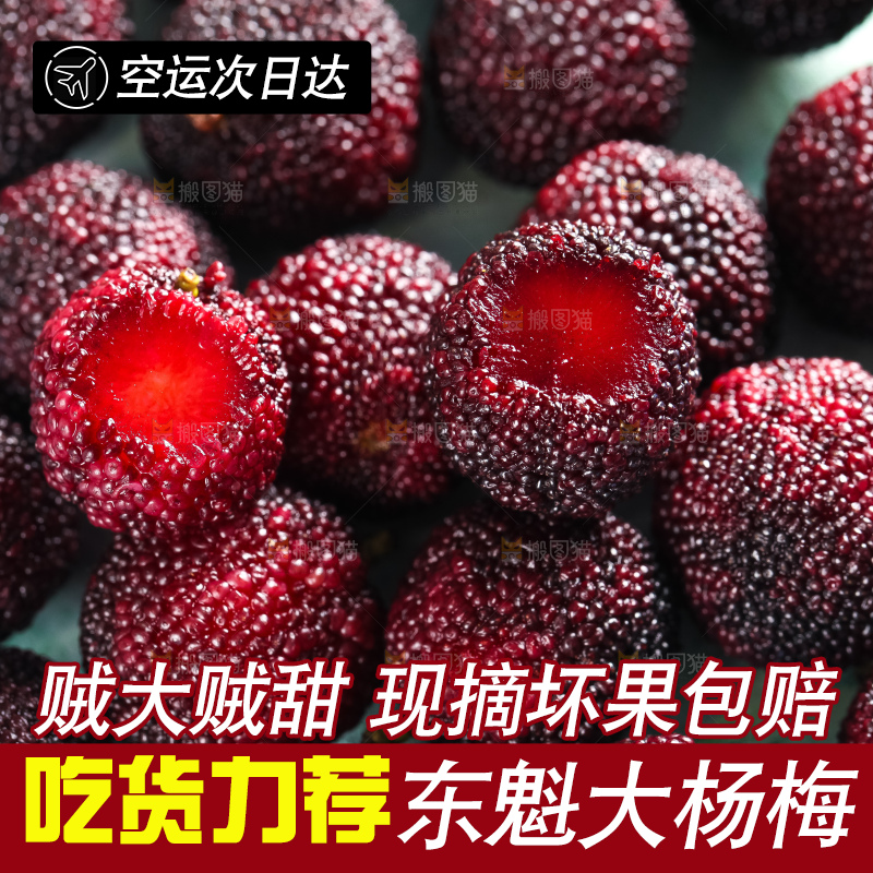 浅底上摆放着高山大杨梅