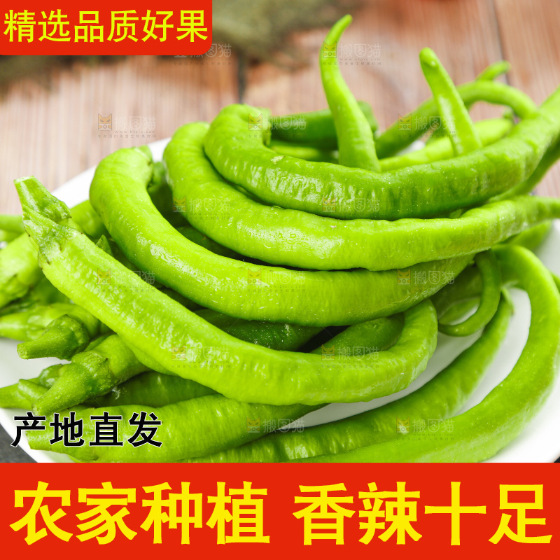 盘子里装着新鲜杭椒
