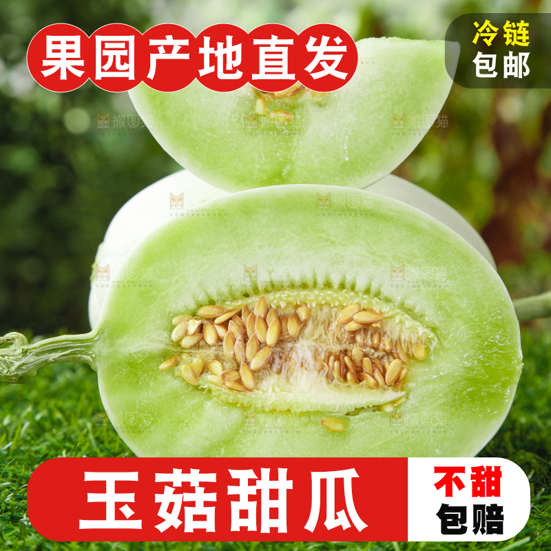 绿草地上摆放着玉菇甜瓜