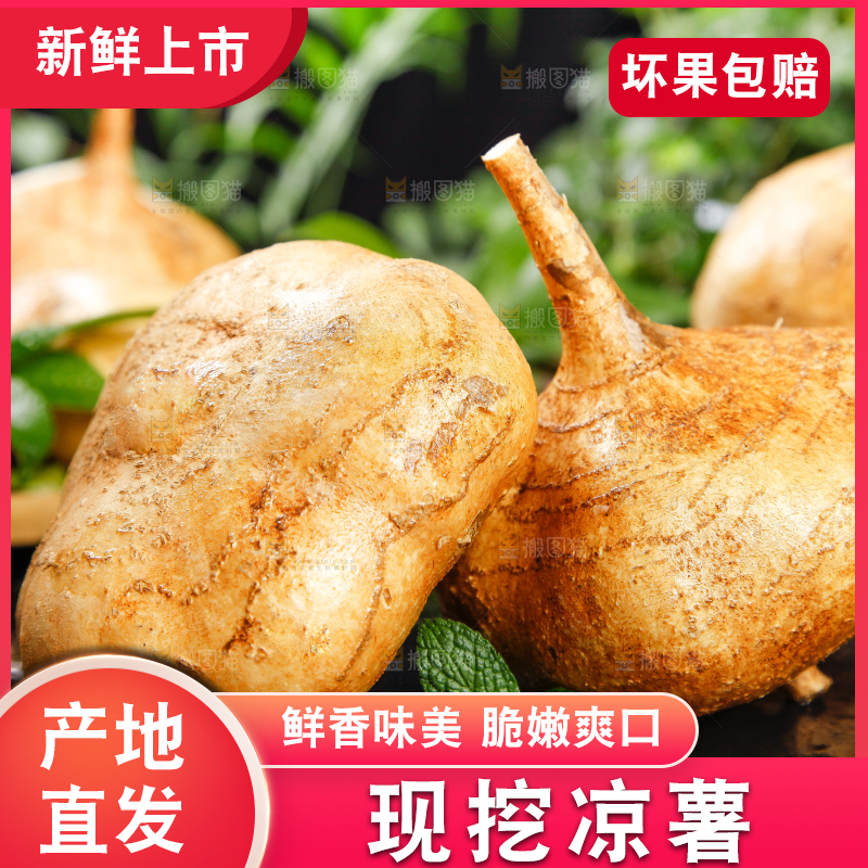 深底上摆放着广西凉薯