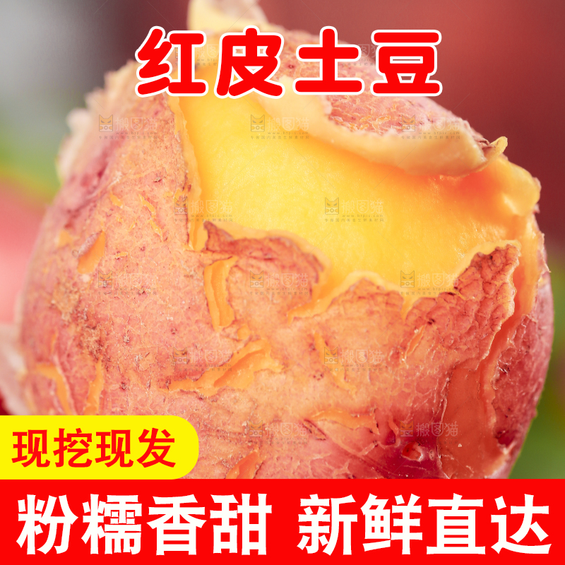 手里拿着红皮土豆