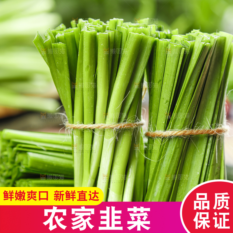 黑石上摆放着嫩韭菜