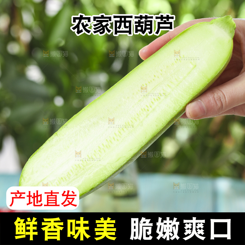 手里拿着嫩茭瓜