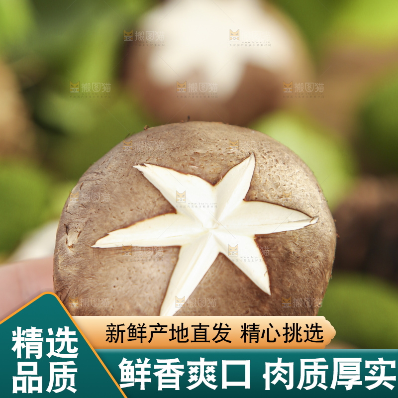 手里拿着香菇