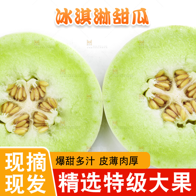 白底上摆放着山东玉菇甜瓜