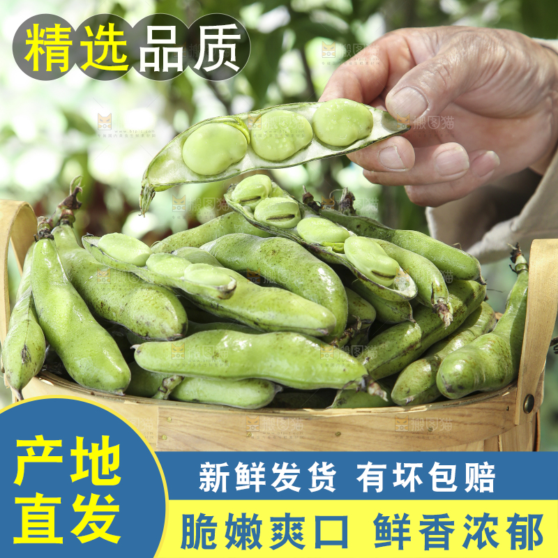 手里提着一篮子农家蚕豆