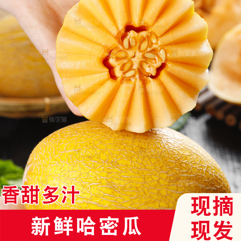 手里拿着黄皮哈密瓜