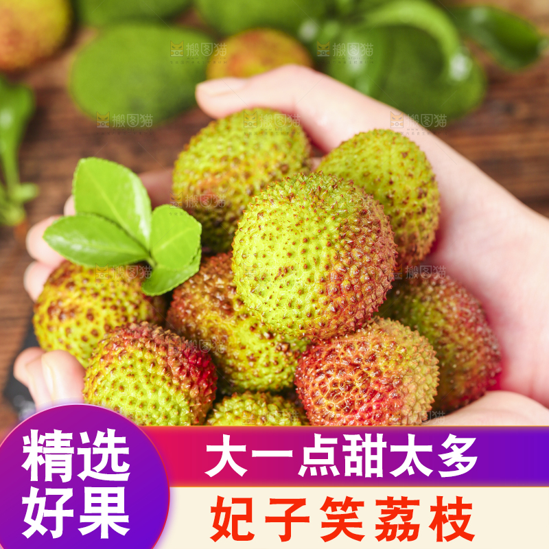 手捧着妃子笑荔枝