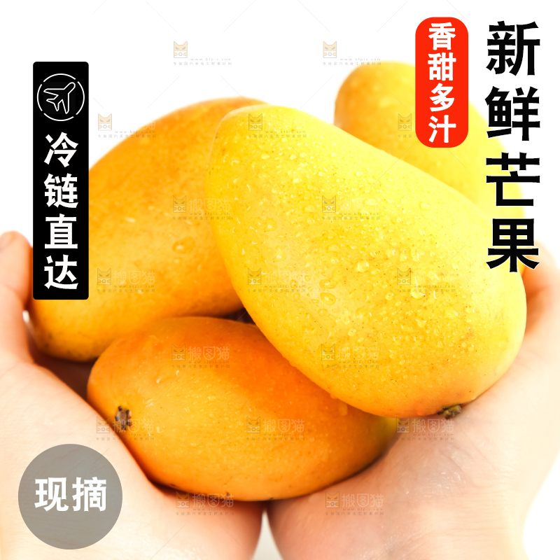 手里拿着小台芒