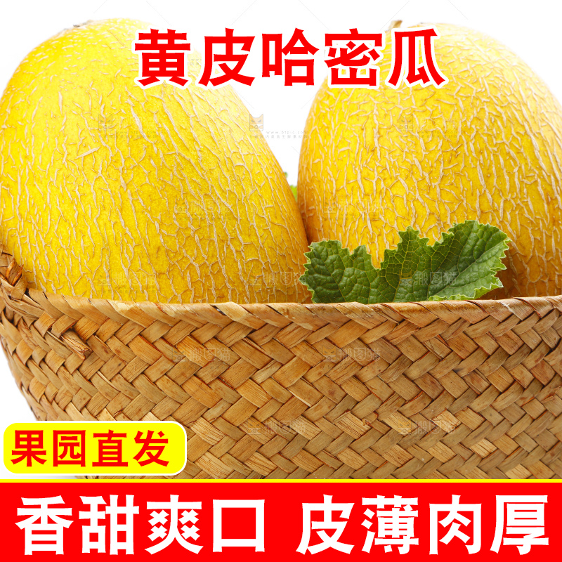 篮子里装着黄皮哈密瓜
