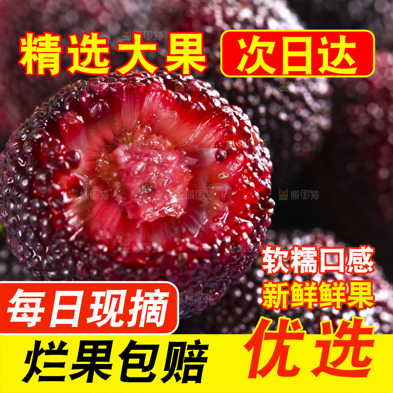 盘子里装着鲜杨梅