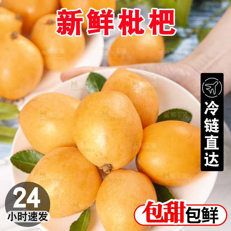 手里拿着枇杷果