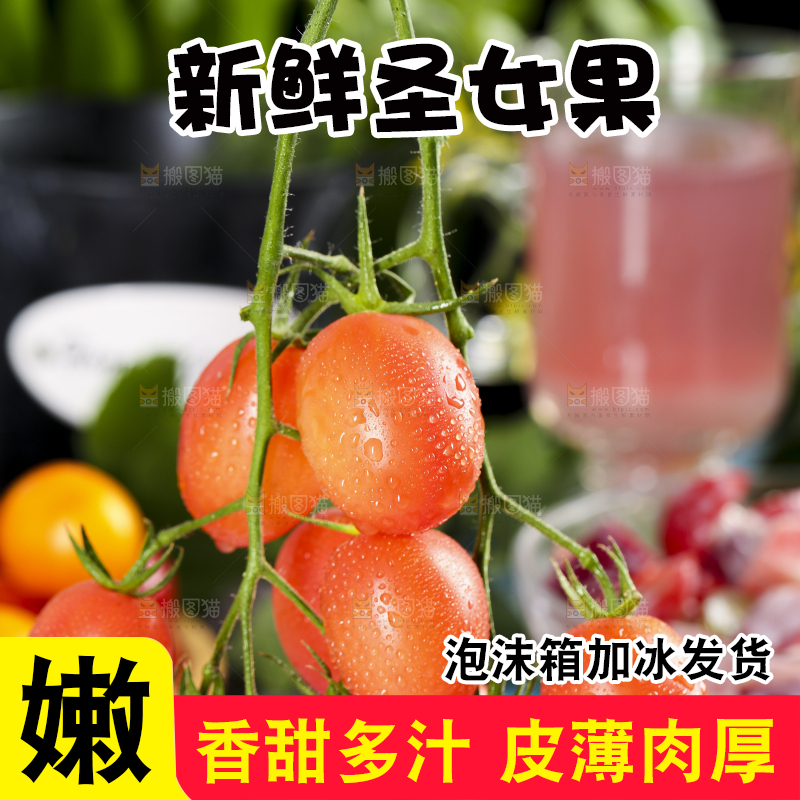 浅底上的小番茄