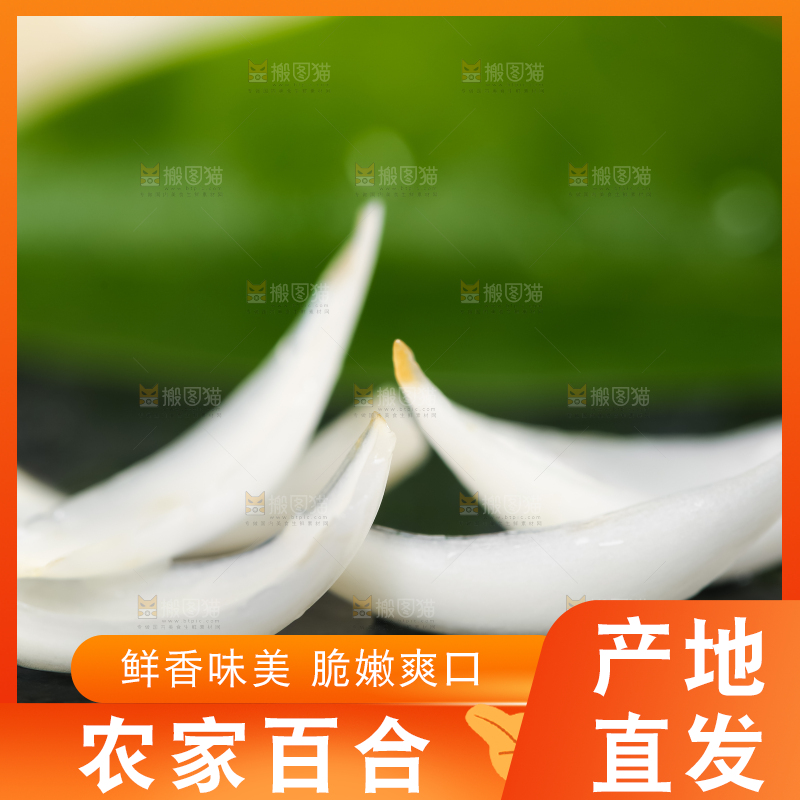 黑底上摆放着鲜百合