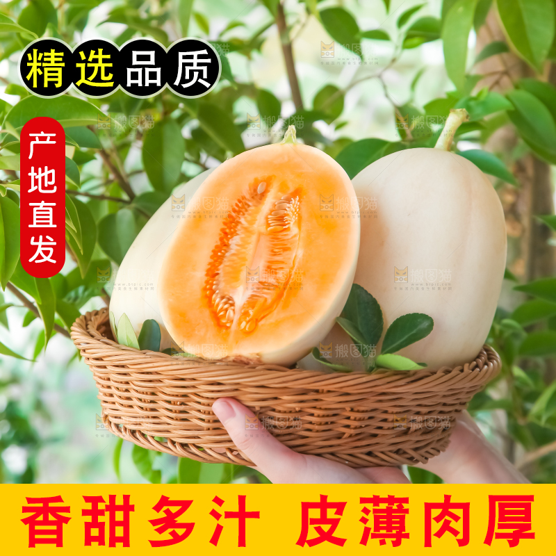 篮子里放着东方蜜瓜