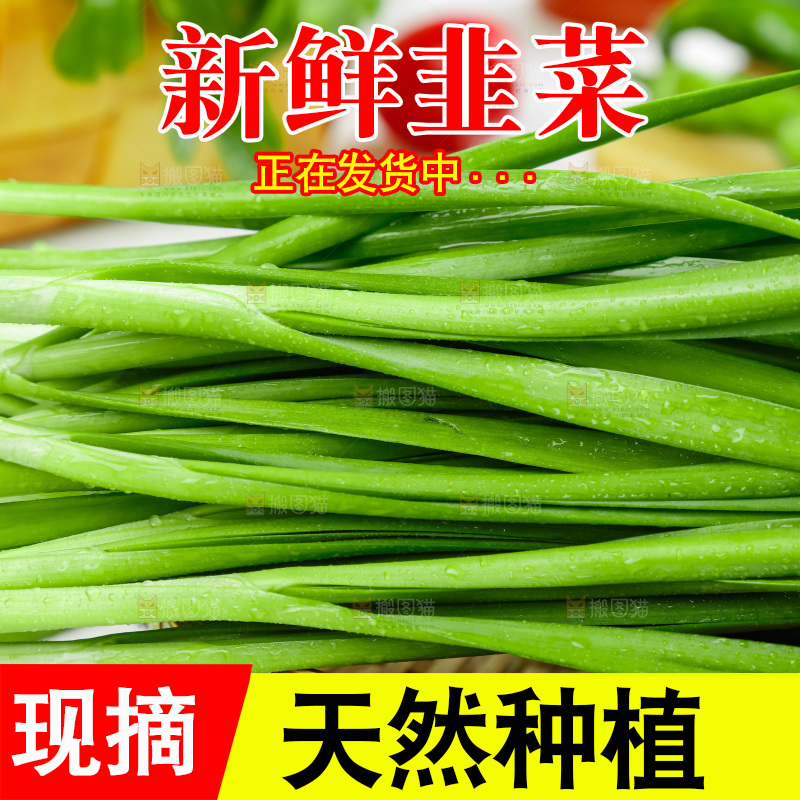 篮子里装着嫩韭菜