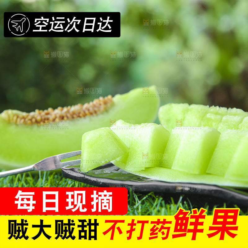 绿草地上放着一玉菇甜瓜