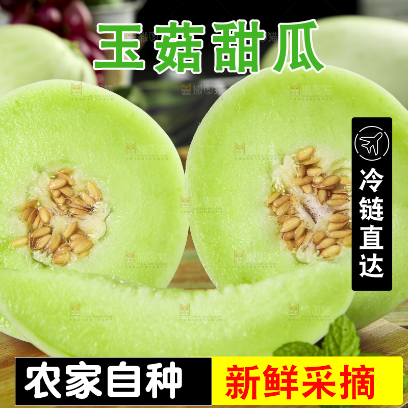 木底上摆放着南汇玉菇甜瓜