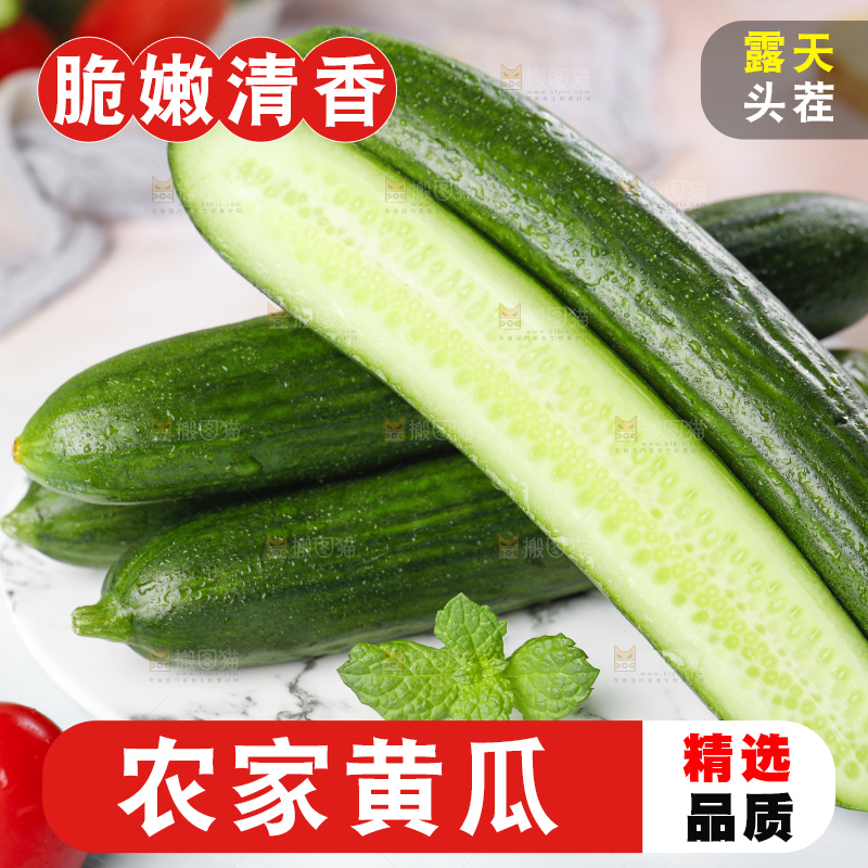 盘子里装着嫩黄瓜