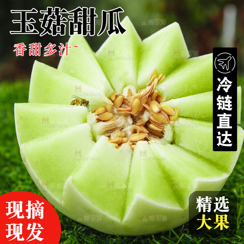 草地上摆放着玉菇甜瓜