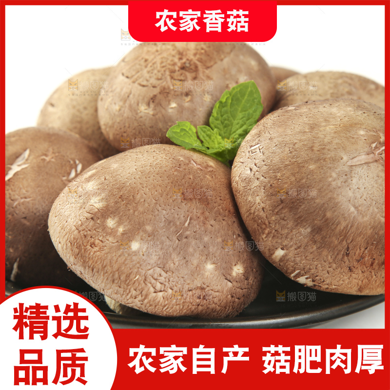 盘子里装着新鲜香菇