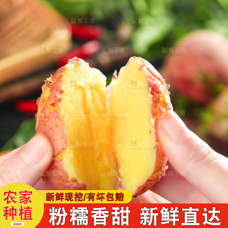 手里拿着红皮土豆