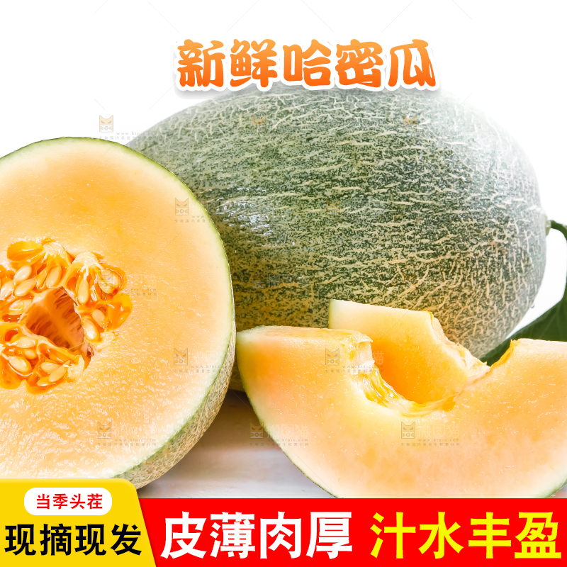 白底上摆放着网纹瓜