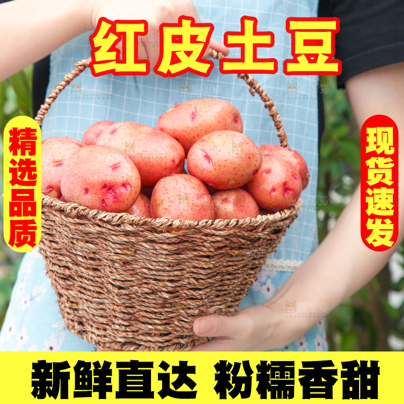 手里提着一篮土豆
