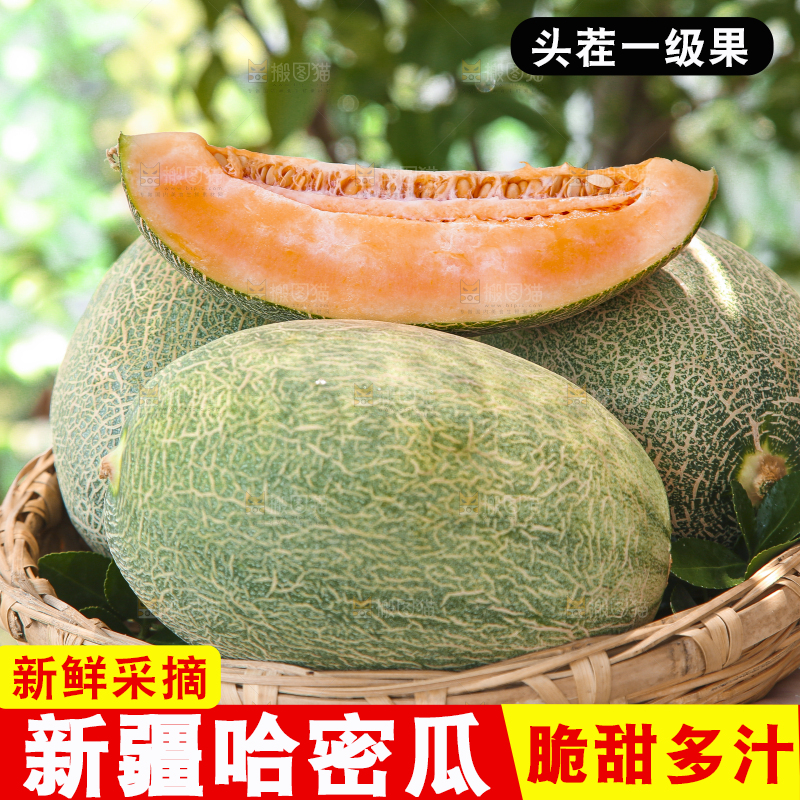 哈密瓜主图