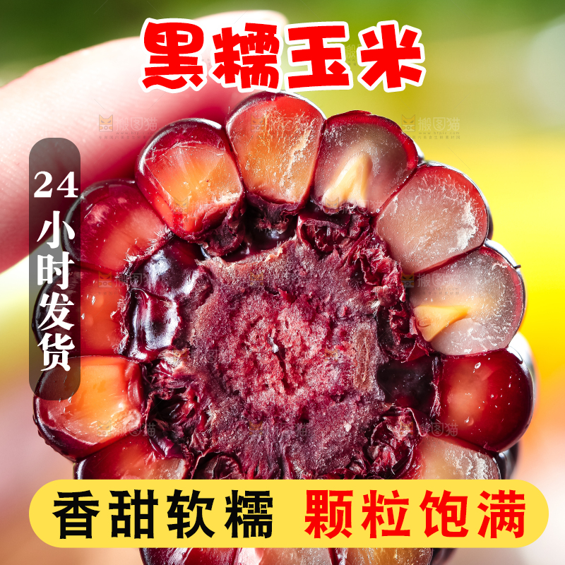 手里拿着黑玉米