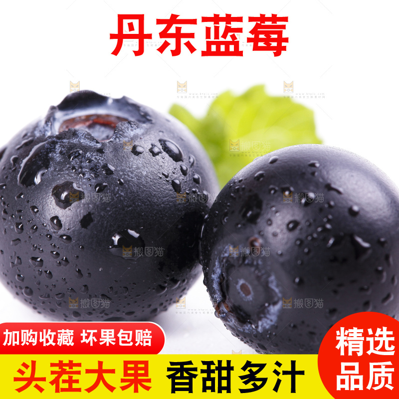 白底上摆放着蓝莓果