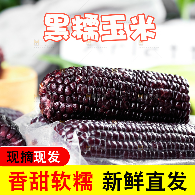 木底上放着紫黑玉米