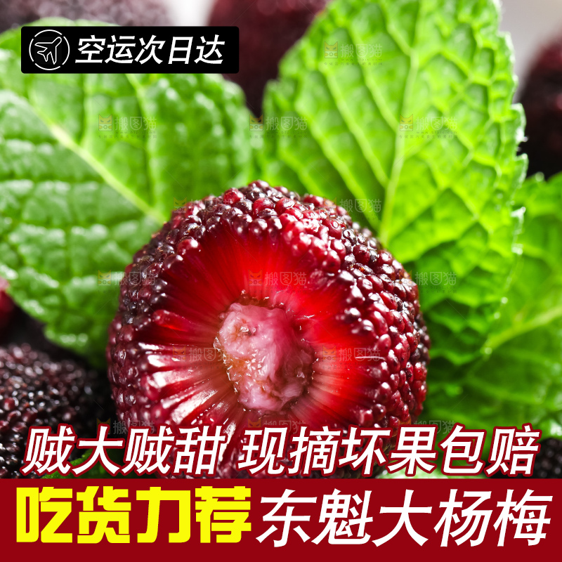 盘子里装着杨梅