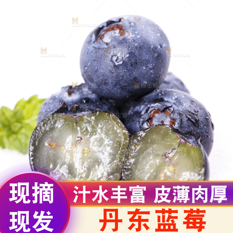 白底上摆放着蓝莓果