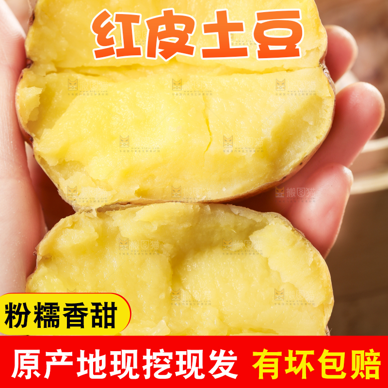 手里拿着红皮土豆
