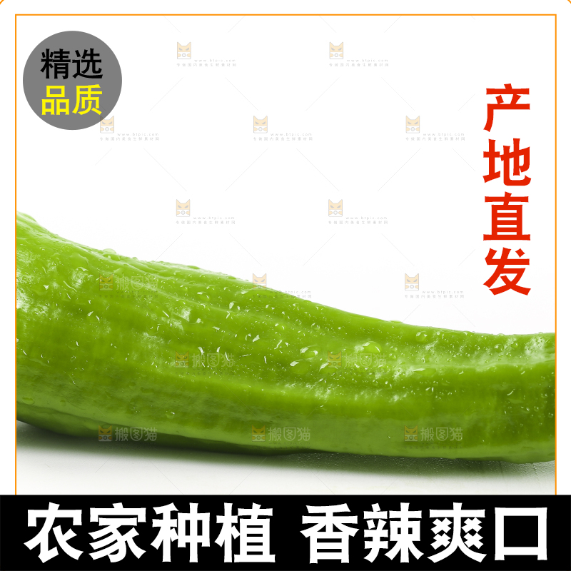 白底上摆放着青辣椒