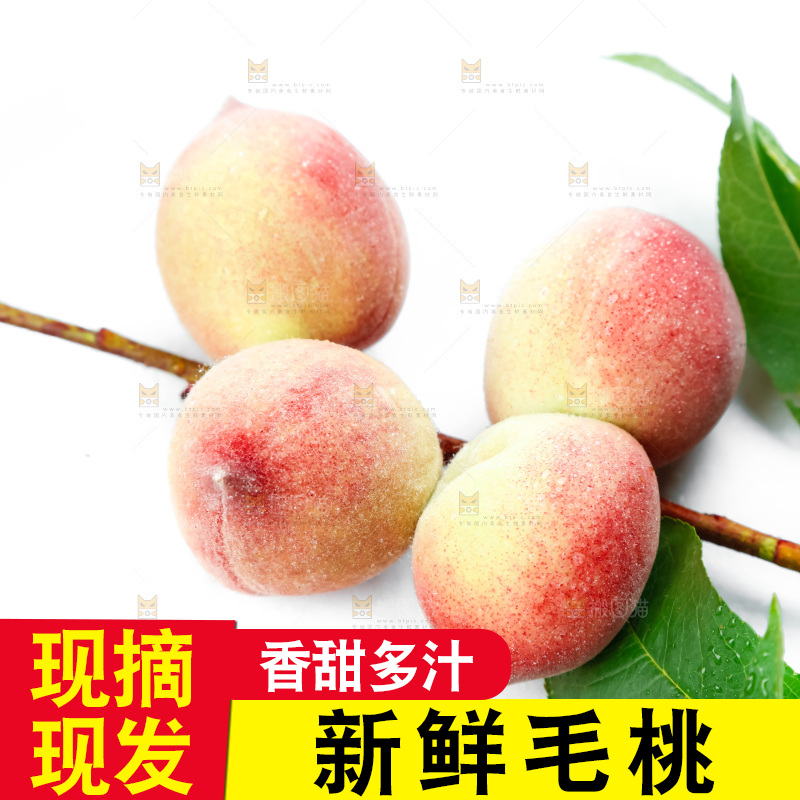 白底上摆放着毛桃