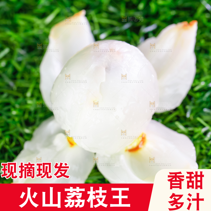 草地上摆放着荔枝王
