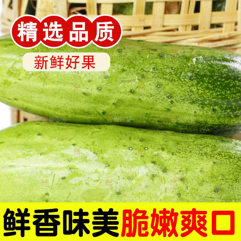 篮子里装着蔬菜黄瓜