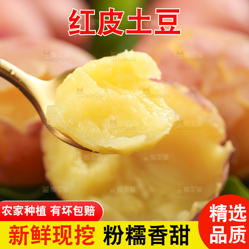 勺子上放着红皮土豆