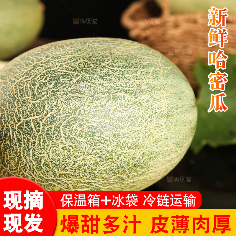 手里拿着网纹瓜