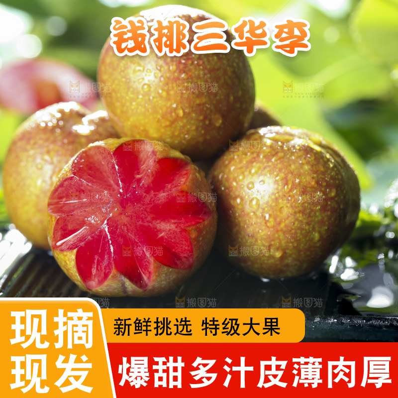黑底上放着红心三华李