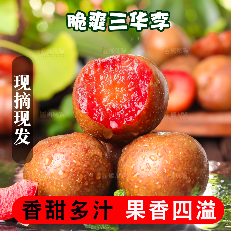红肉三华李主图